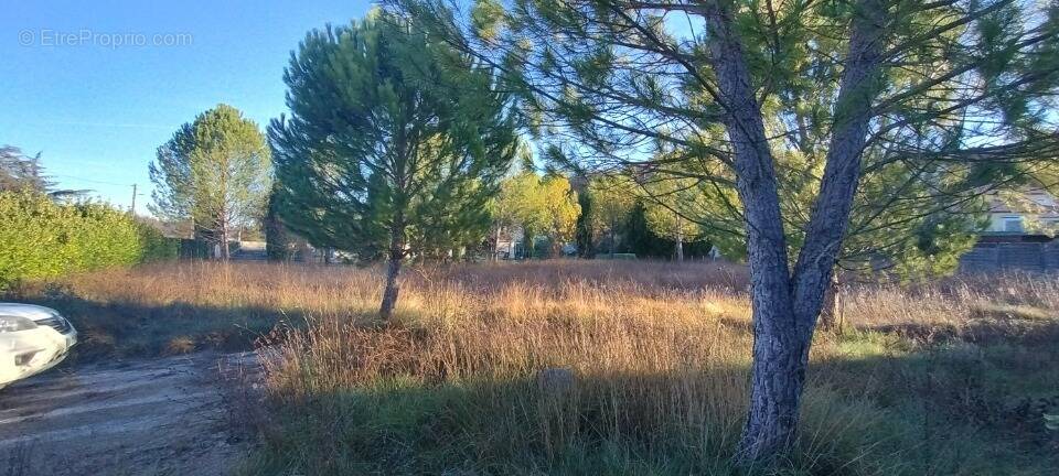 Terrain à SAINT-JEAN-DE-MARUEJOLS-ET-AVEJAN