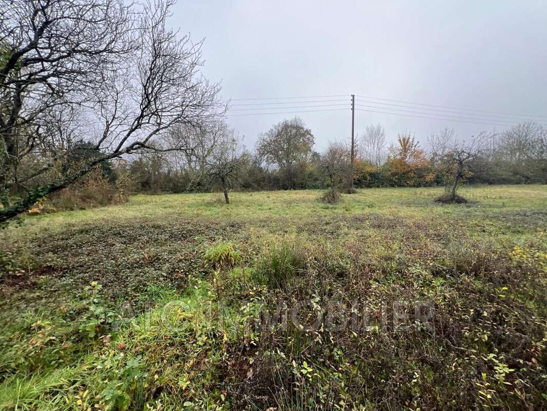 Terrain à CHAMPFLEUR