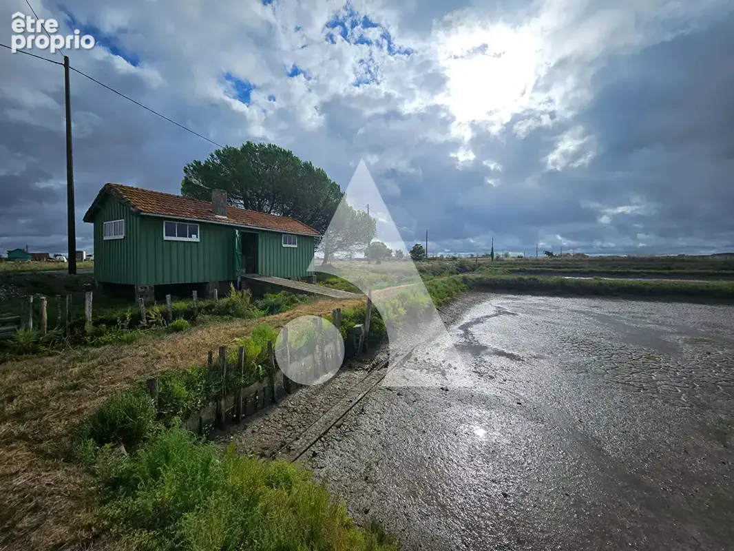 Cabane de loisirs - photo 11
