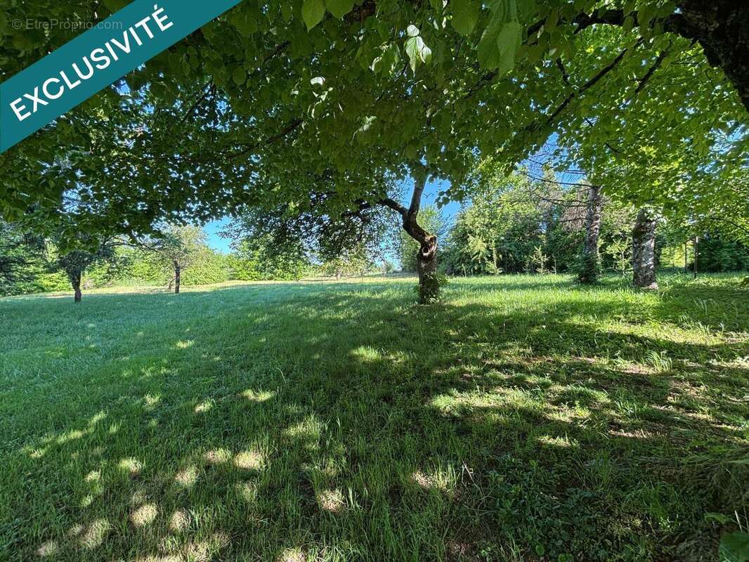 Photo 6 - Appartement à LES TROIS-DOMAINES