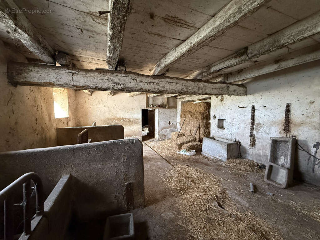 Maison à JOUQUEVIEL