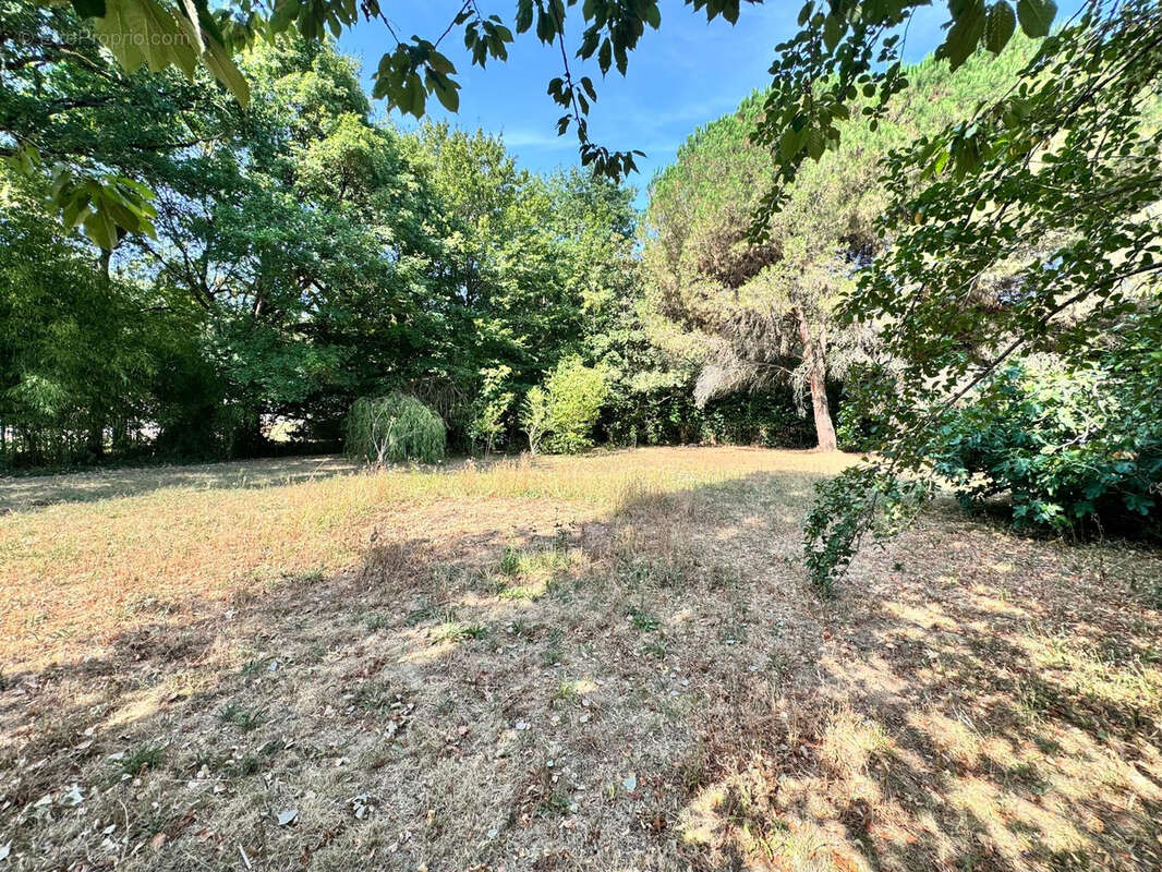 LHERM   Proche Muret & Lavernose-Lacasse - Maison T6/7 180 m2   parcelle arborée de 3 074 m2 - photo 19