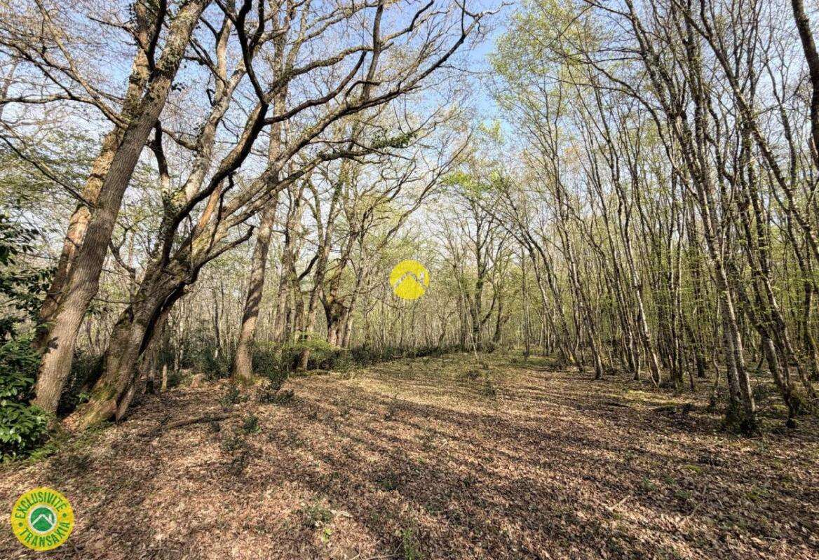 Terrain à MAREUIL-SUR-ARNON