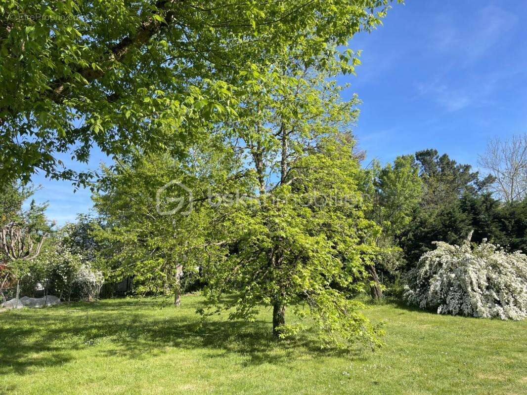 Elégante villa 6 pièces avec jardin verdoyant, au calme - photo 12
