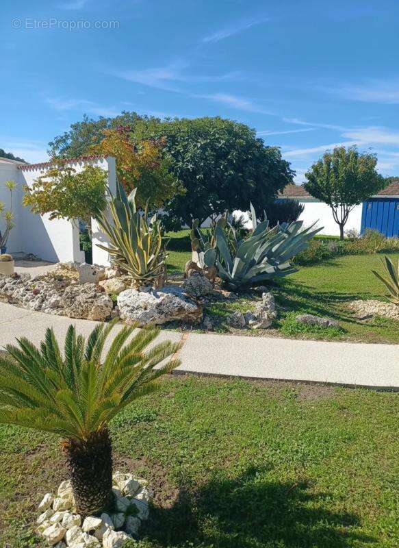 Maison à SAINT-JUST-LUZAC