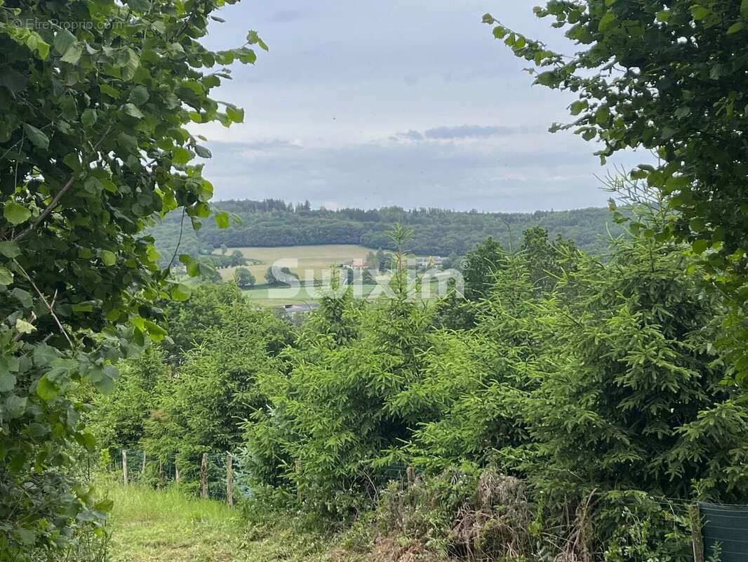 Terrain à BRASSY
