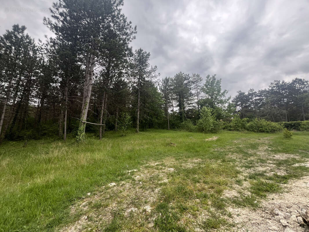 Terrain à BASSILLAC