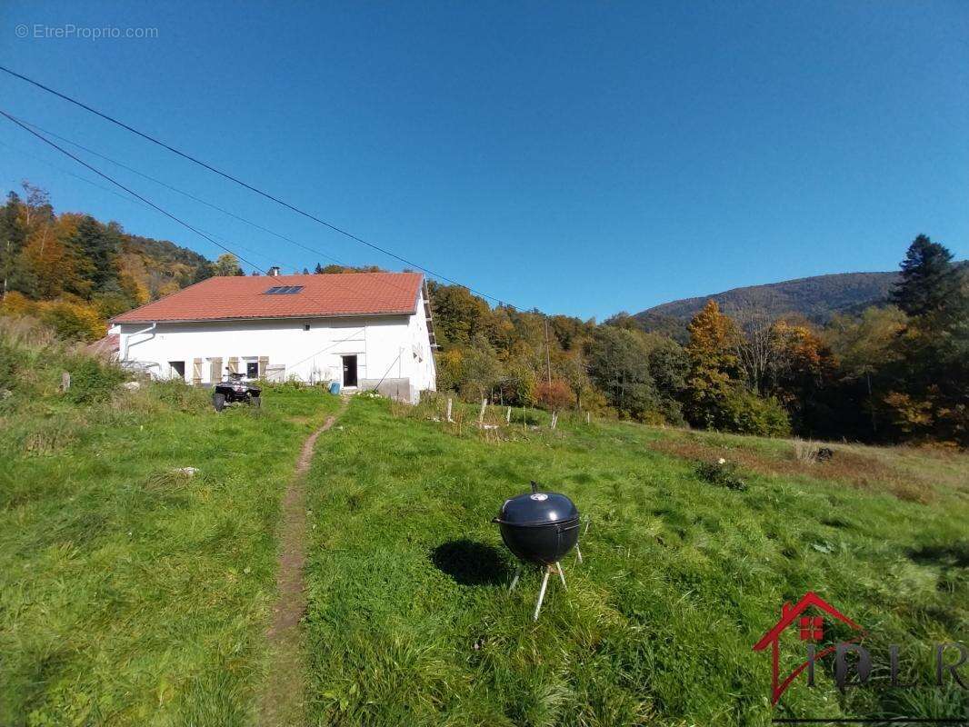 Ferme au coeur des hauteurs   charme, nature et sérénité - photo 3