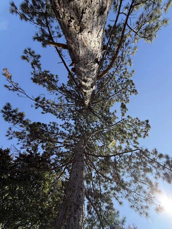 Maison à VILLECRESNES