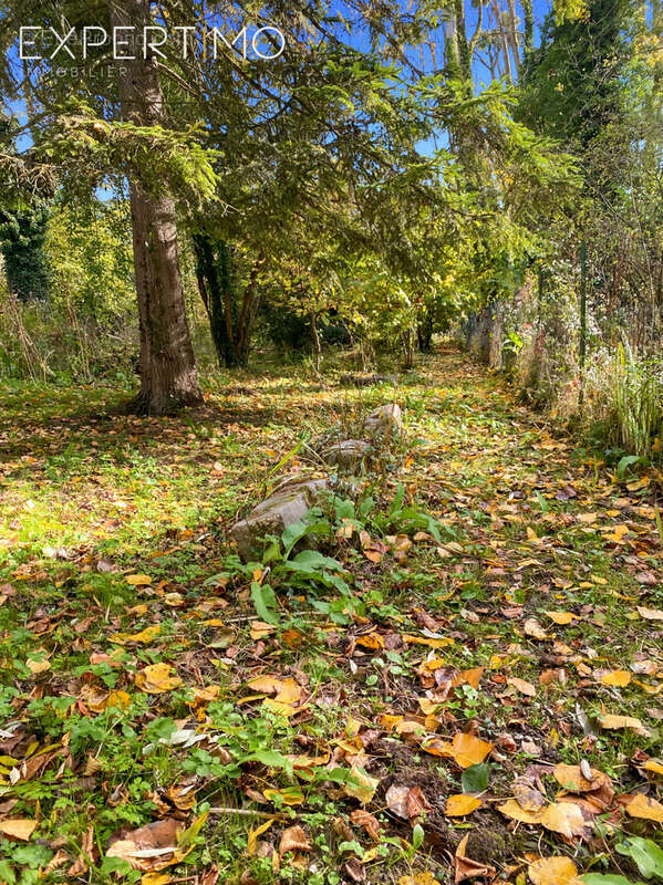 Maison à CHALO-SAINT-MARS