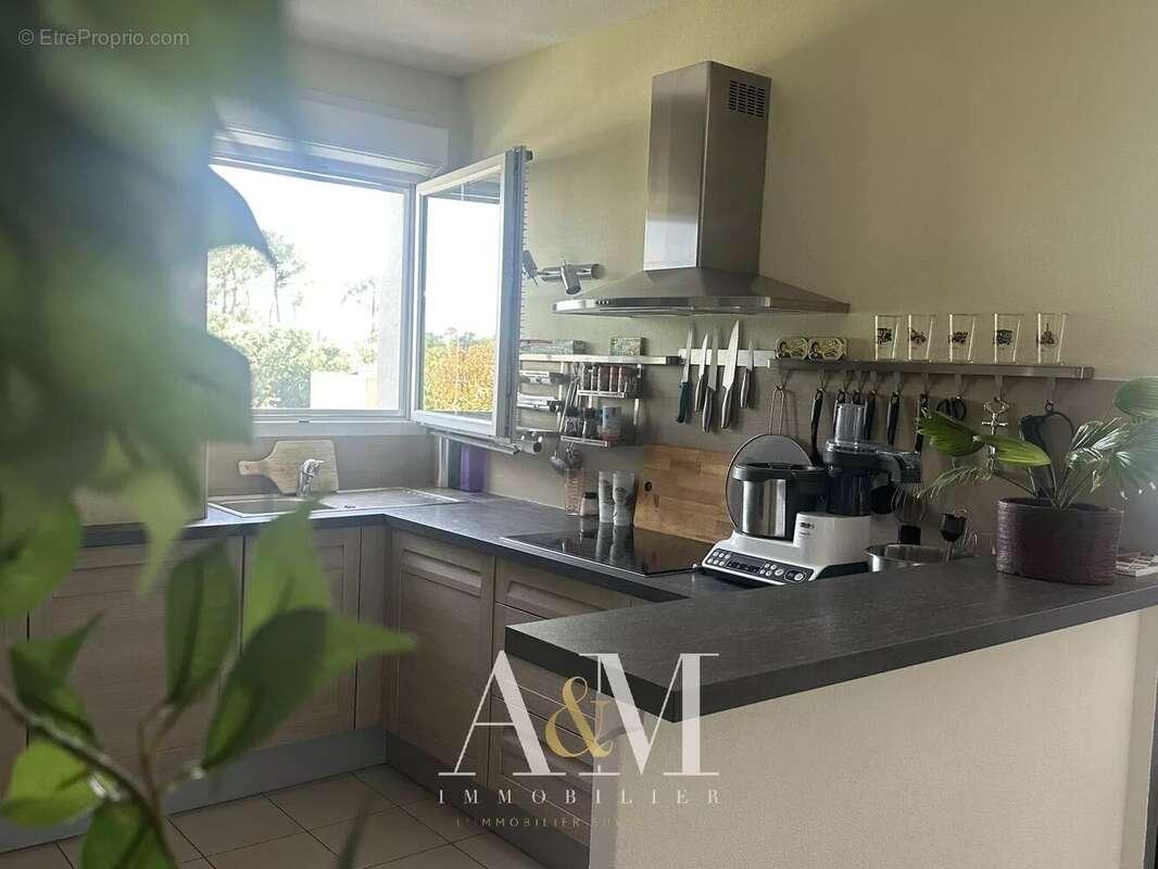 Appartement à AUDENGE