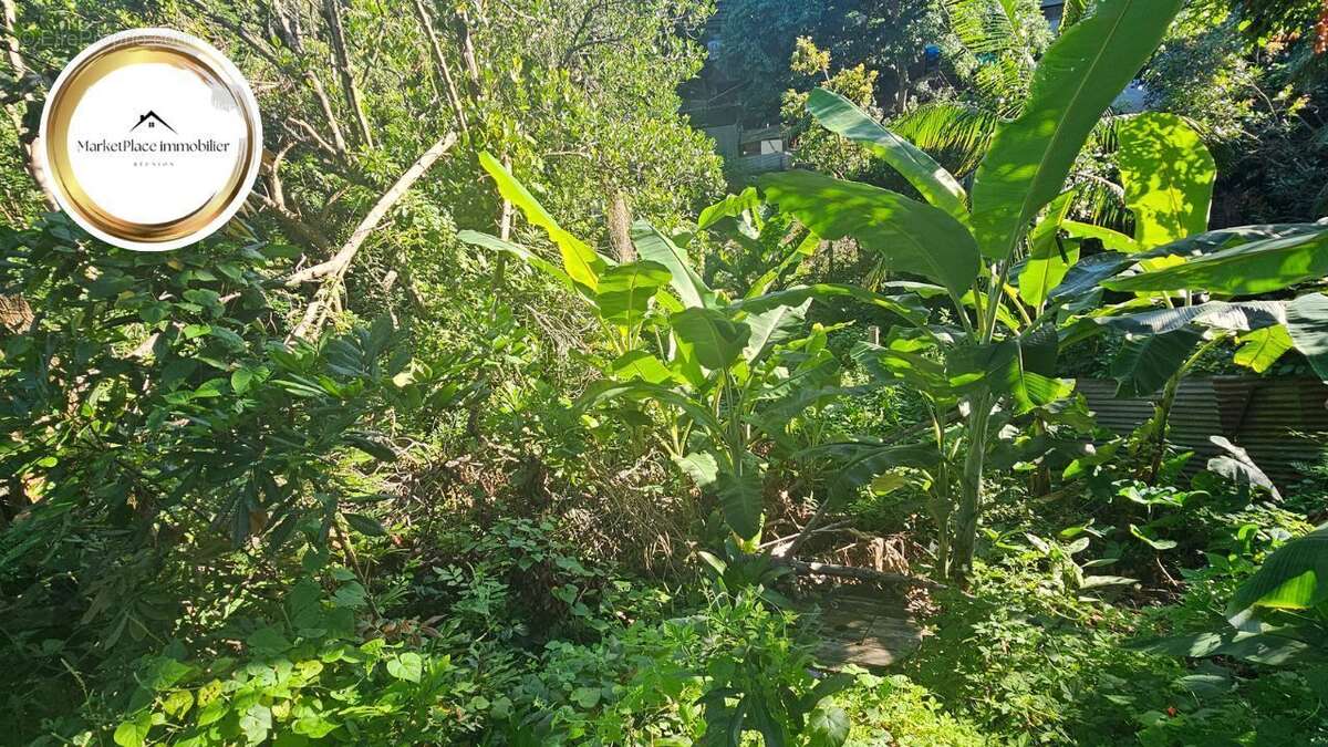 Maison à SAINT-LOUIS