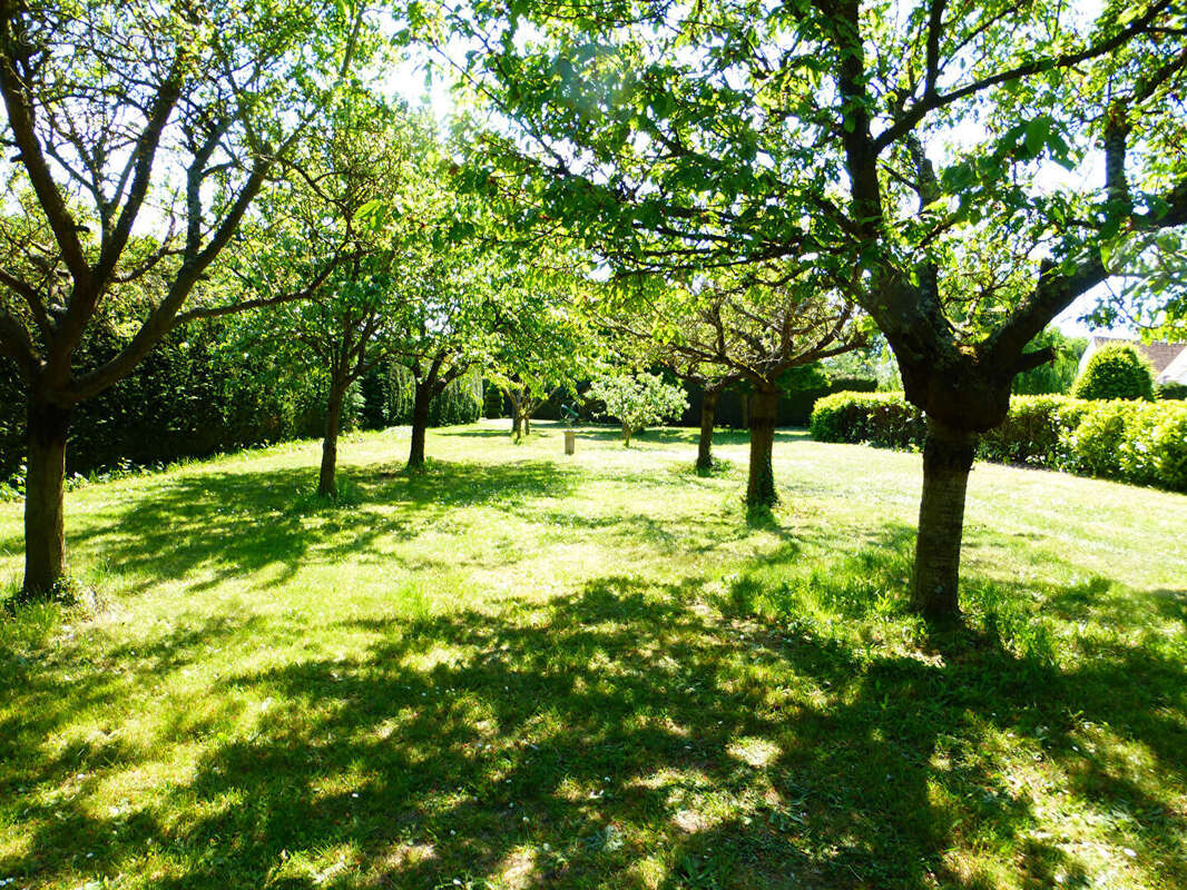Terrain à HERBEVILLE
