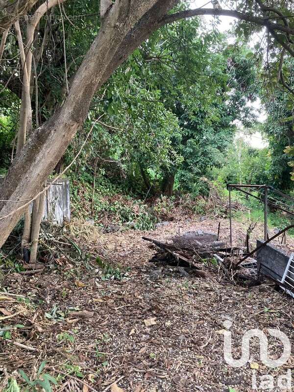 Photo 3 - Terrain à SAINT-PAUL