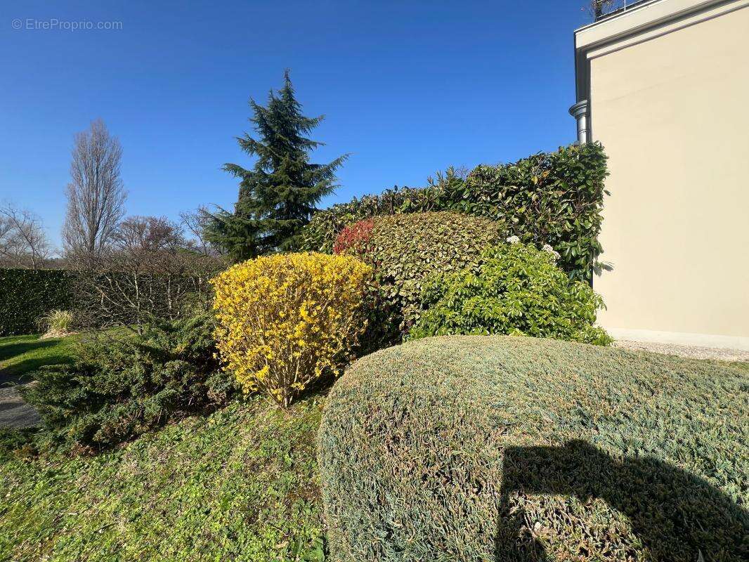 Appartement à FONTAINES-SUR-SAONE