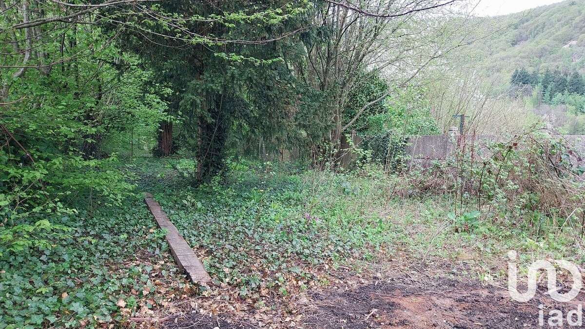 Photo 6 - Maison à HAYBES