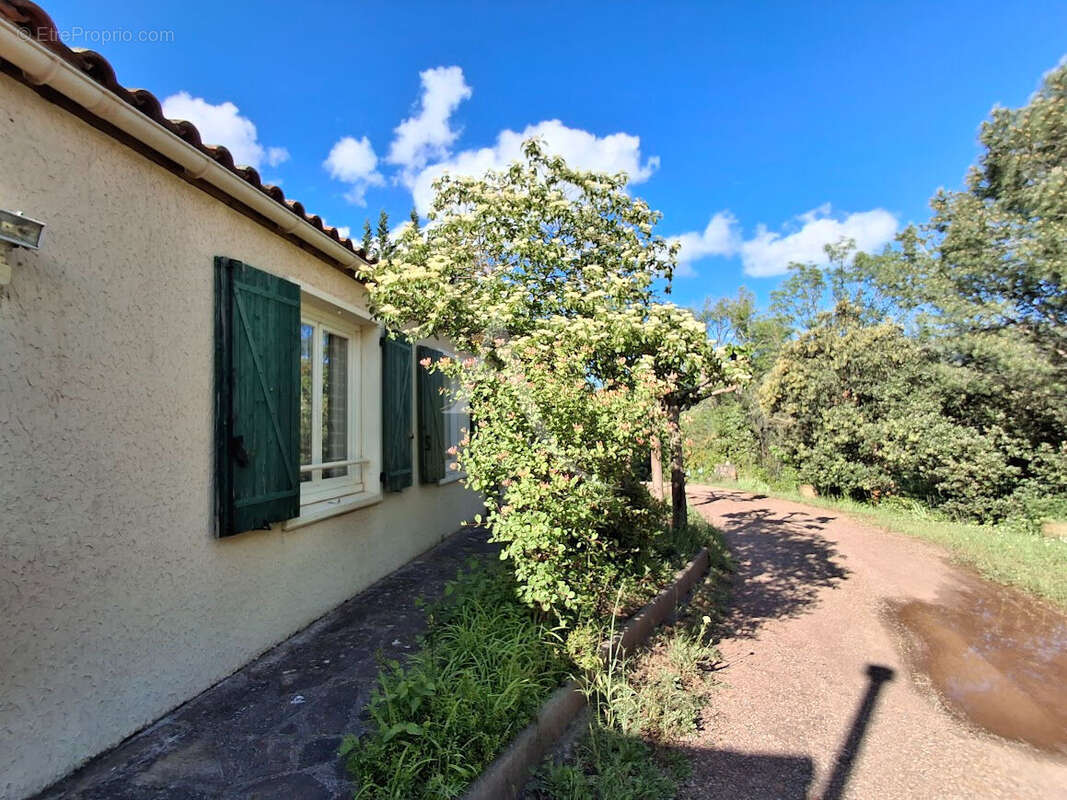 Maison à LE BOUSQUET-D&#039;ORB