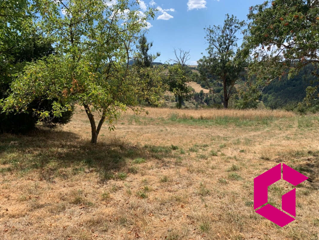 Terrain à YSSINGEAUX