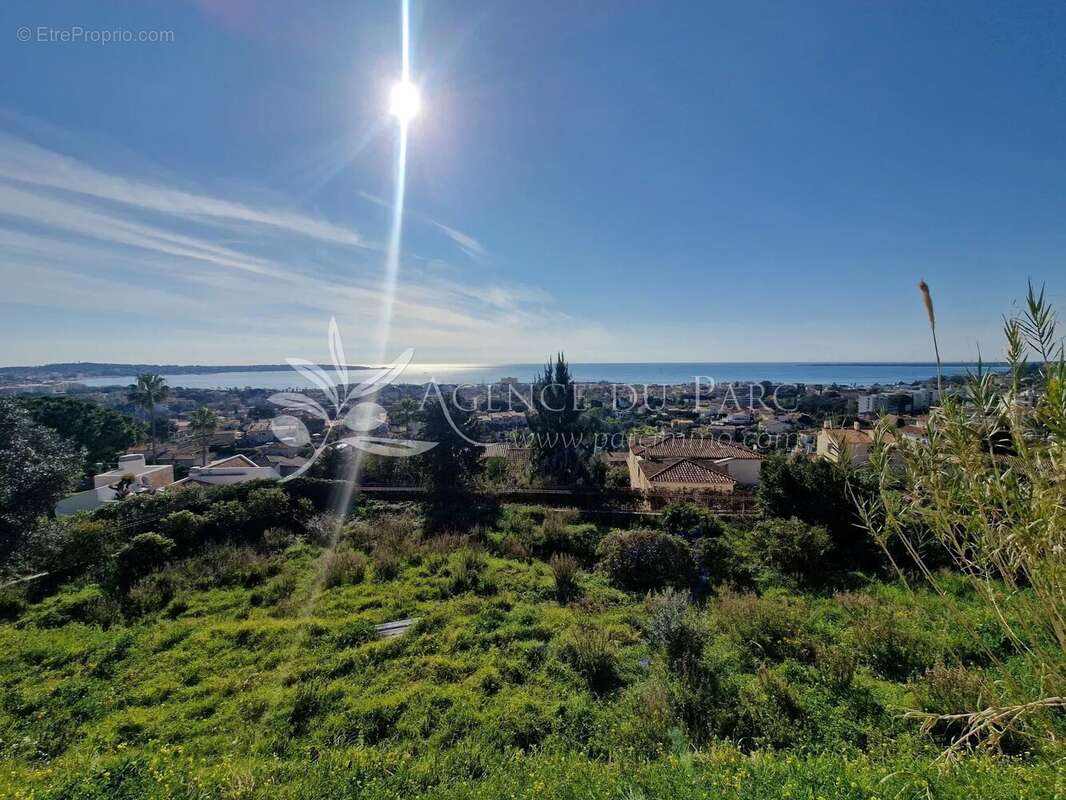 Terrain à VALLAURIS