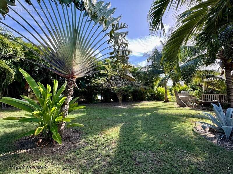 Saint-françois – villa d’exception avec grande piscine, à 5 minutes des plages - photo 3