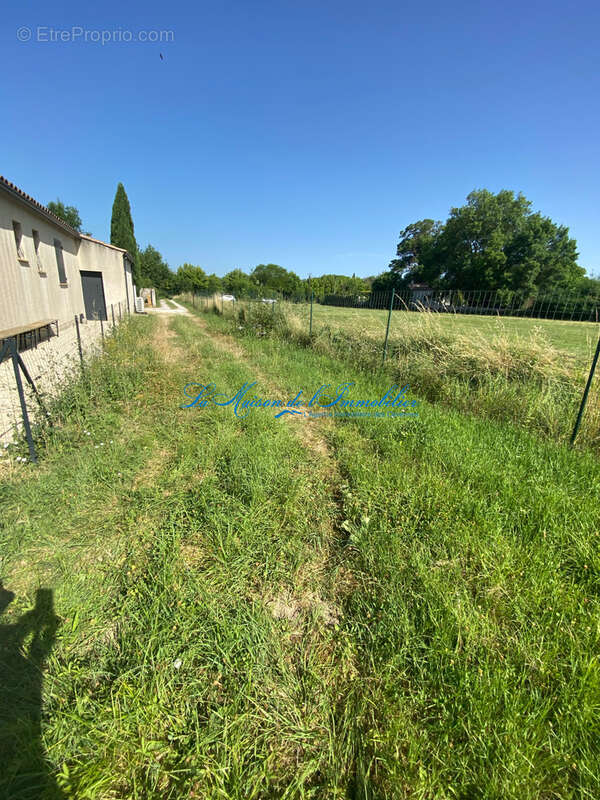 terrain plat constructible - photo 3