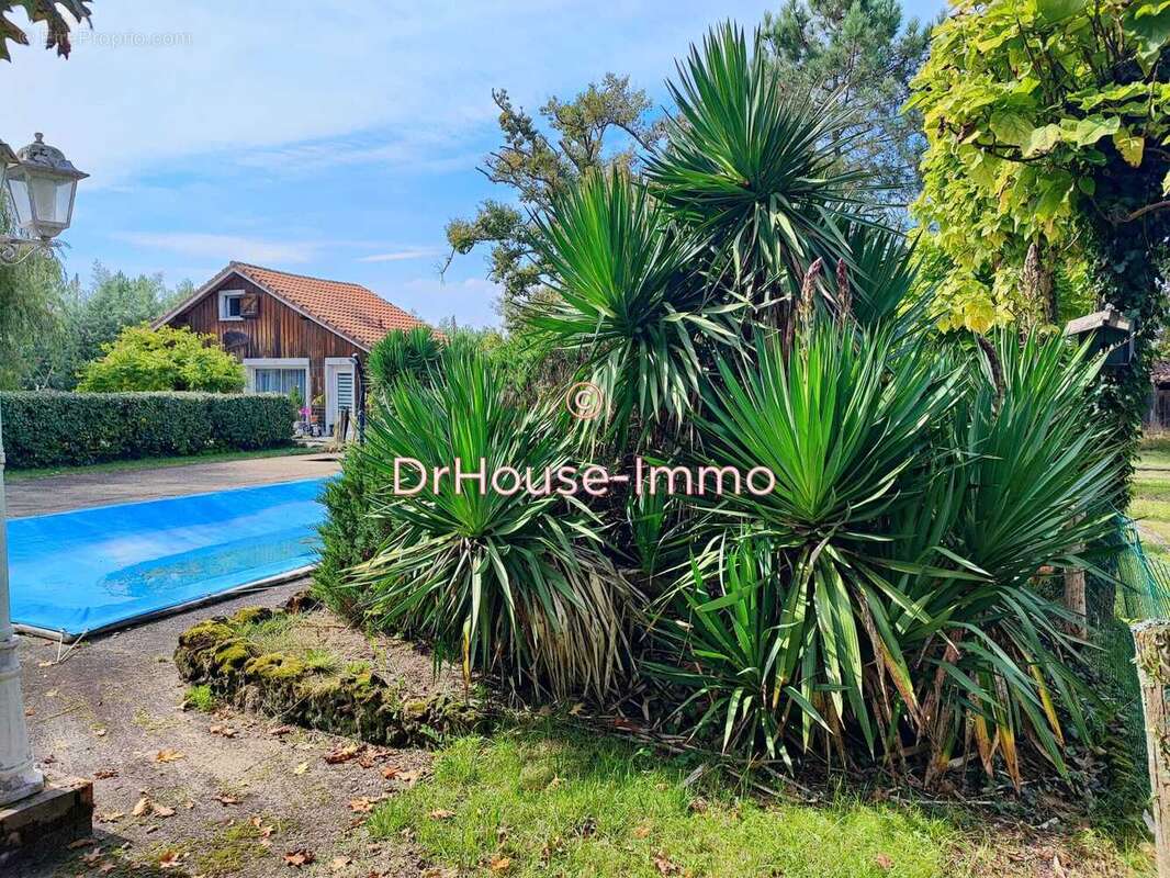 Maison 165 m² à Escource  - photo 28