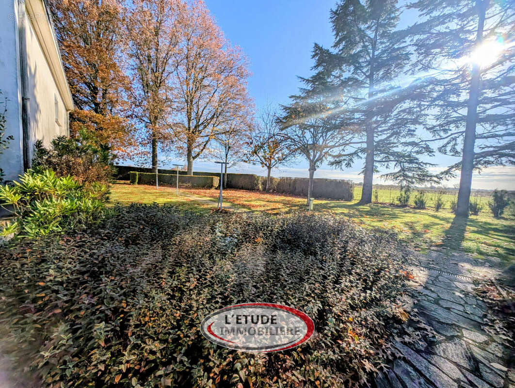 Photo 8 - Maison à VALLET