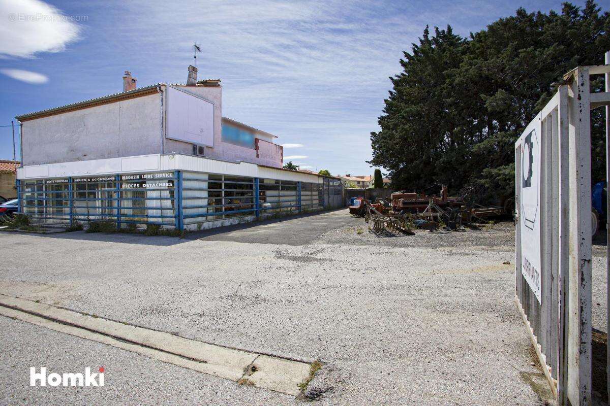 Local commercial T6 de 470 m2 à Ille-sur-Têt 66130, Route de Perpignan - photo 17