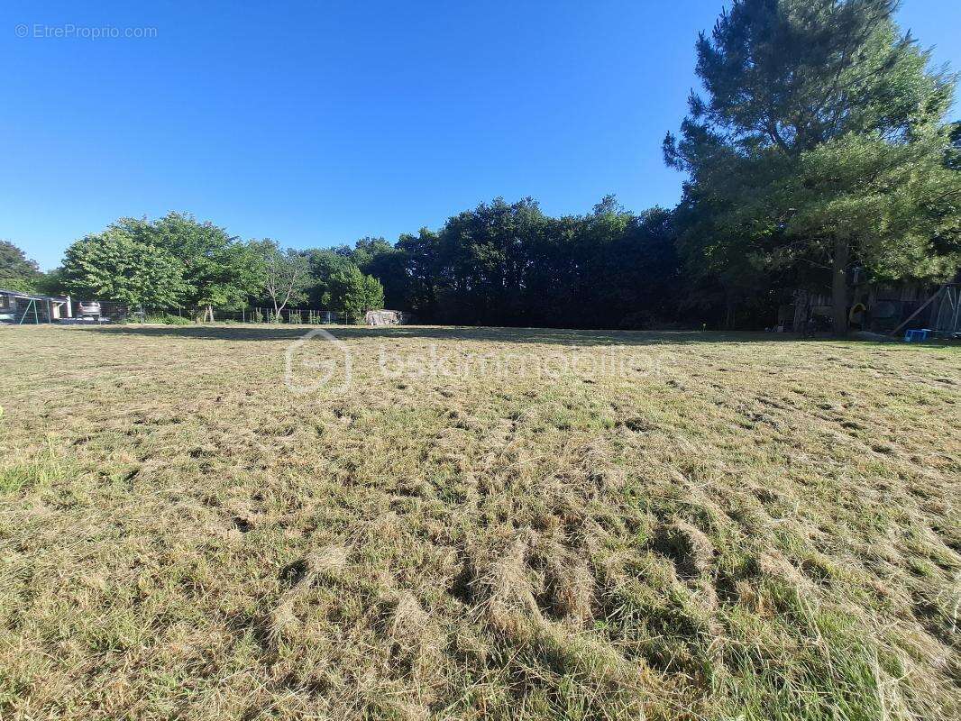 Terrain à bâtir de 1 137 m² au cœur de l'Entre-deux-Mers à Frontenac (33760) - photo 2