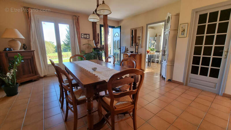 Maison PLAIN PIED avec PISCINE et grand terrain de 5000 m2 - photo 10