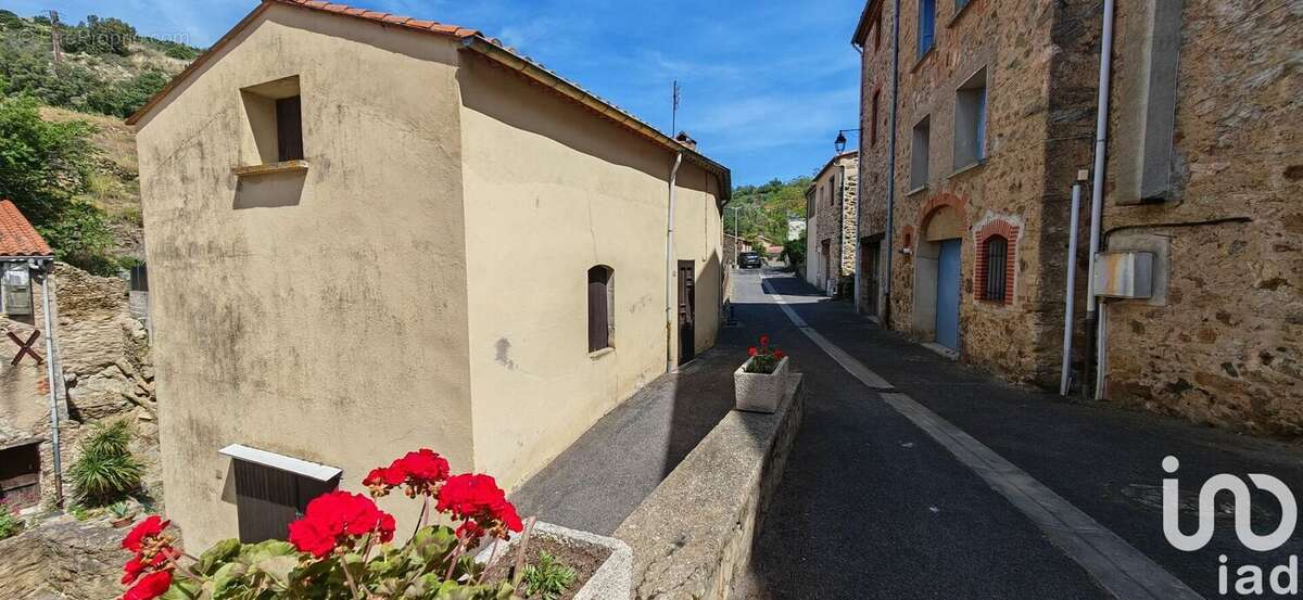 Photo 5 - Maison à CARAMANY