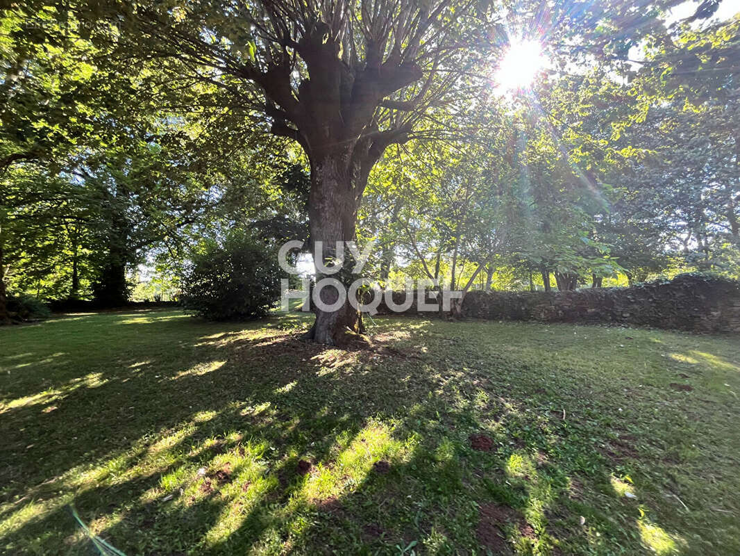 Maison à FRAYSSINET-LE-GELAT