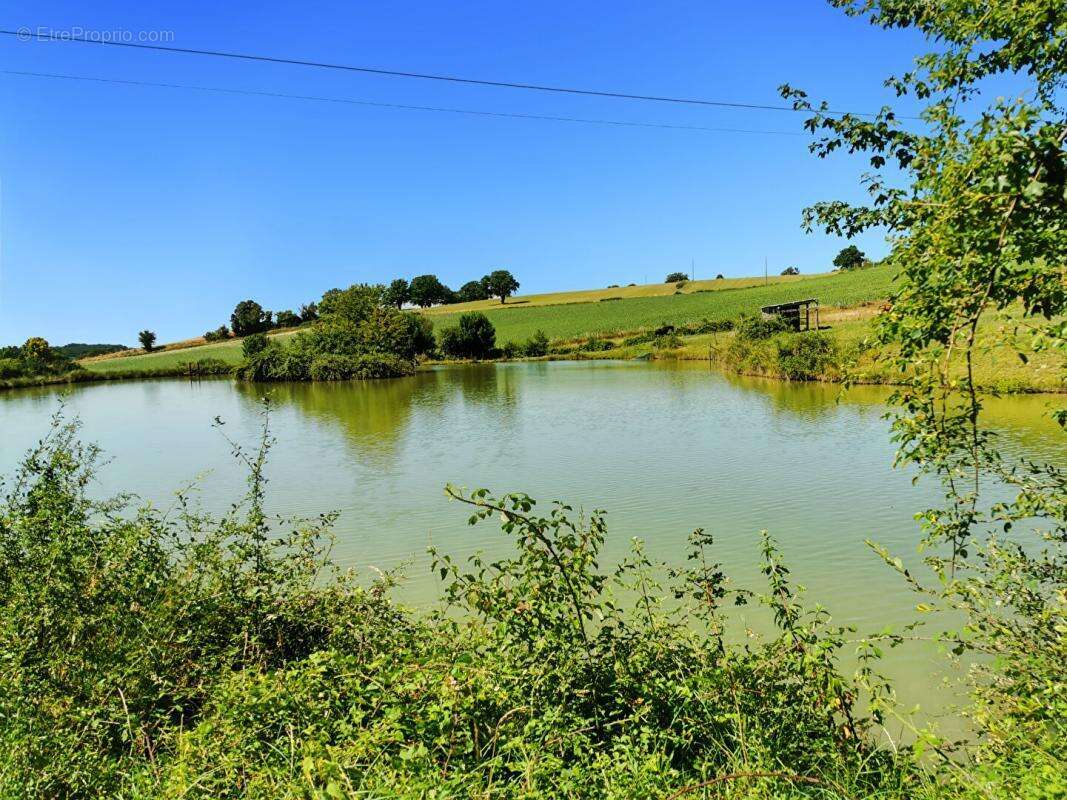 Maison à FAVERDINES