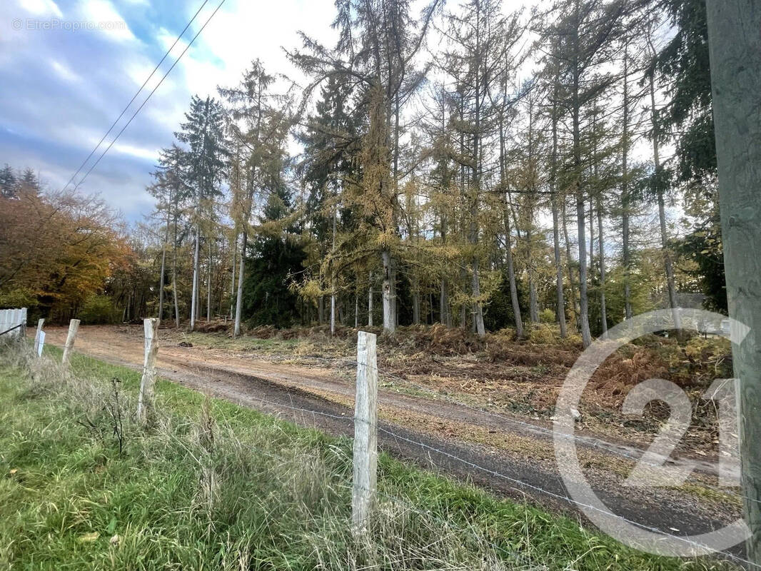 Terrain à APPEVILLE-ANNEBAULT