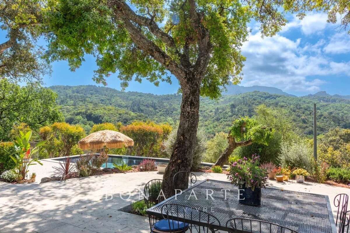 Les adrets-de-l'esterel - domaine de 10 ha - écuries - 5 habitations - lac - photo 15