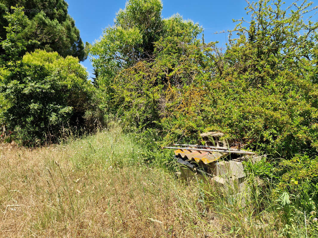 Autre à SERIGNAN