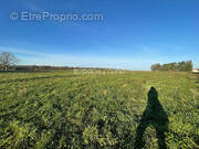 Terrain à BOIS-D&#039;ENNEBOURG