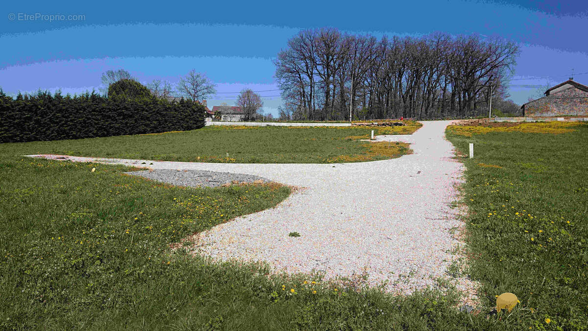 Terrain à SAINTE-CROIX