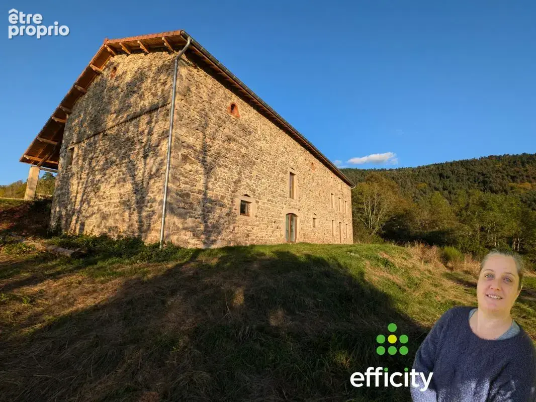 Maison 400 m² à Dore-L'eglise  - photo 3