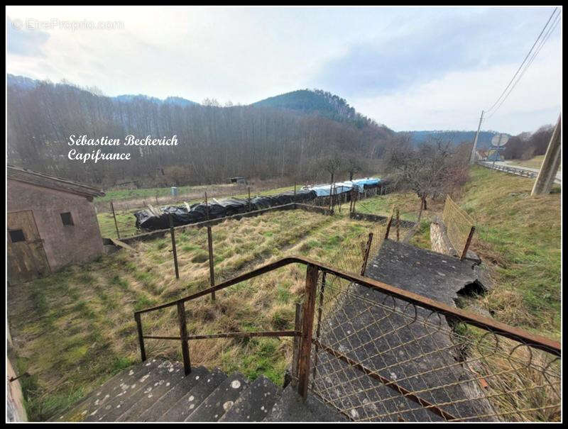 Maison à PHILIPPSBOURG