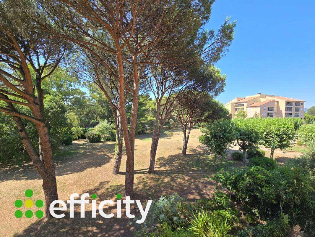Appartement - photo 6