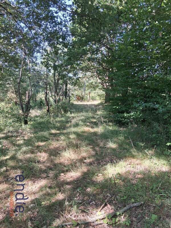 Terrain avec etang - photo 5