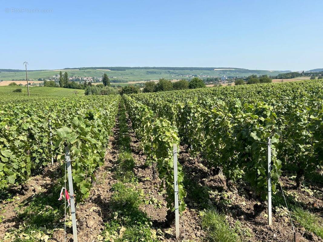 Terrain à CHAMERY