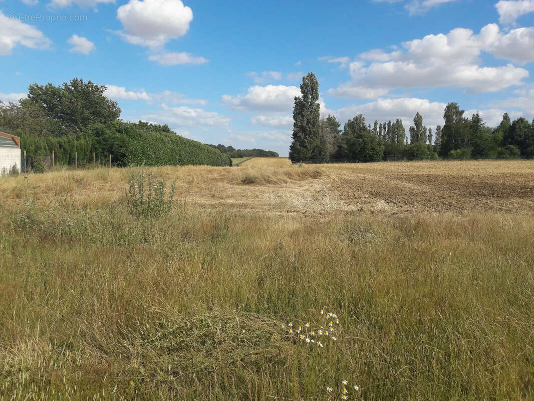 Terrain à VALLERY