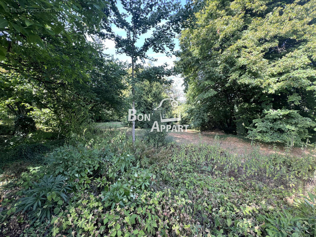 Maison en pierre 130 m2 sur 1 ha - à 30 minutes du Luxembourg entre Longwy et Longuyon - photo 5