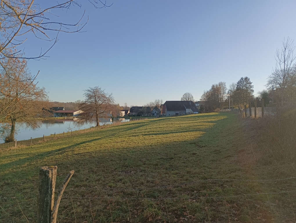 Terrain à ANGEOT