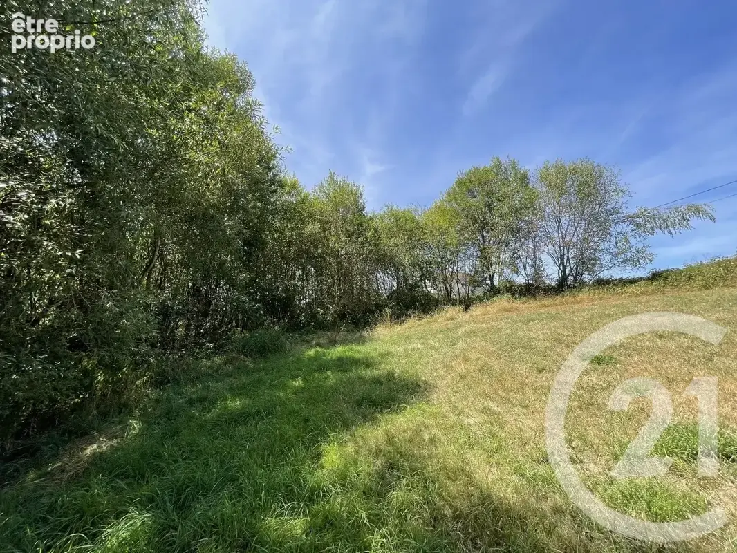 Terrain 3 340 m² à vendre à Hadol (88220) - photo 2