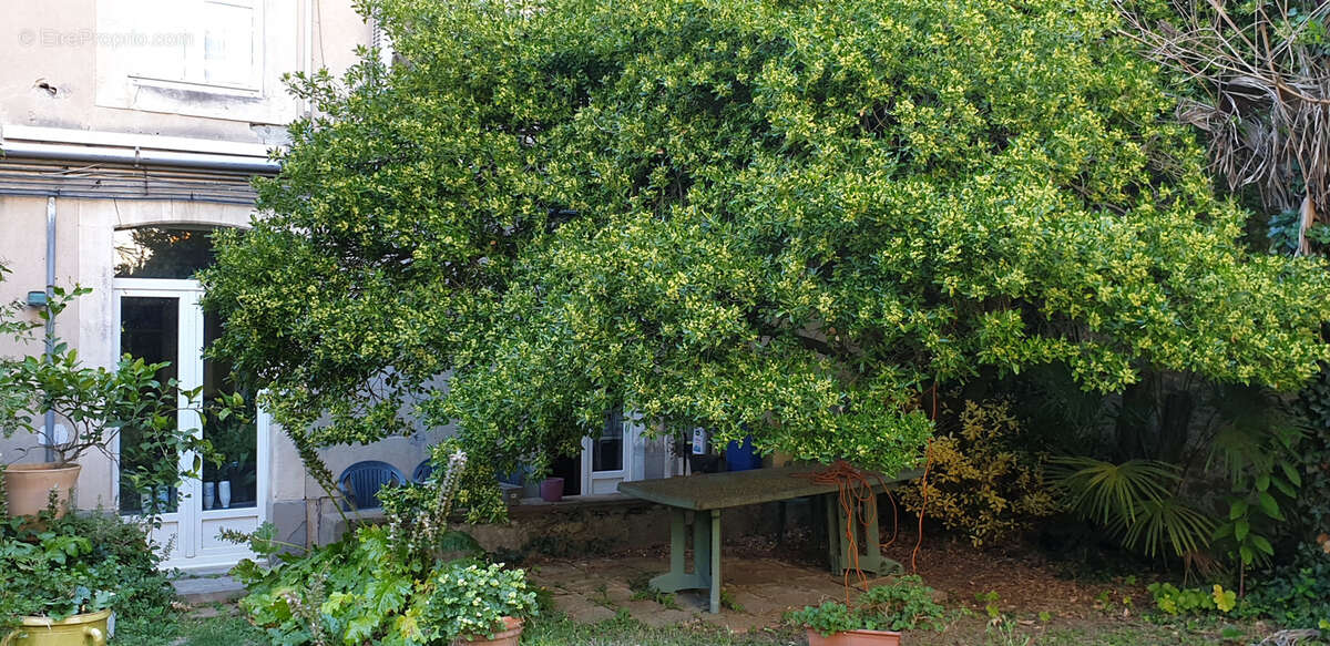 Appartement à CARCASSONNE