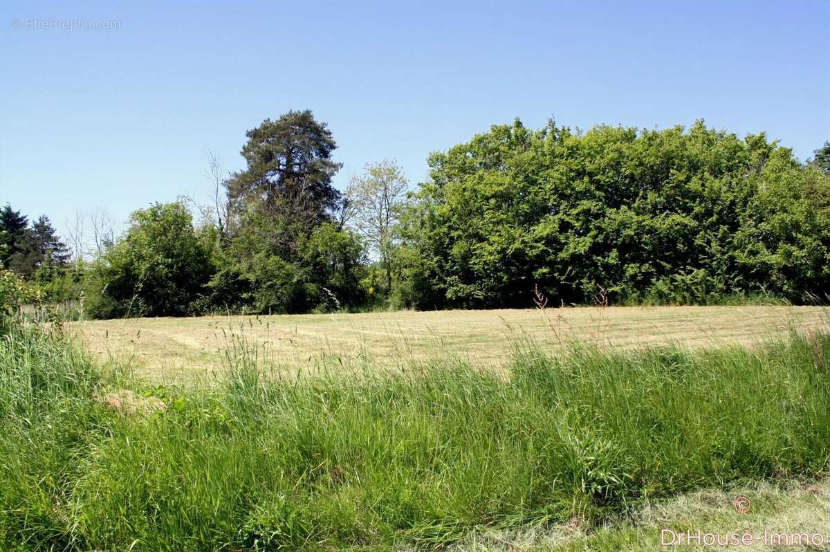 Terrain à ARCHIGNY