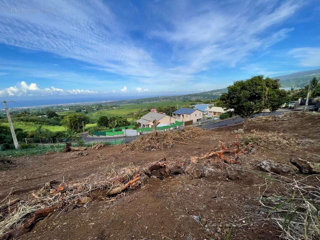 Terrain à LE TAMPON